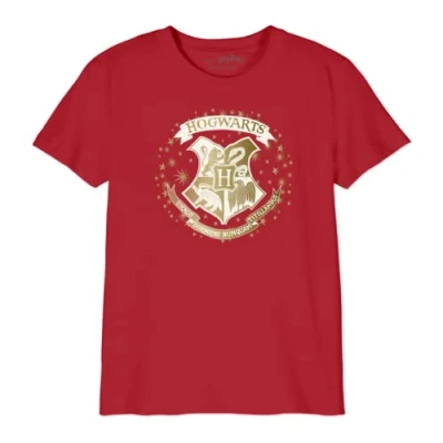 Abbildung von HARRY POTTER Jungen Bohapomts156 T Shirt, Rouge, 12 Jahre