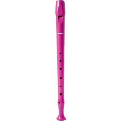 Abbildung von Hohner Violet Flute with Case 5% in Books