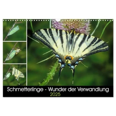 Abbildung von Schmetterlinge Wunder der Verwandlung (Wandkalender 2025 DIN A3 quer), CALVENDO Monatskalender