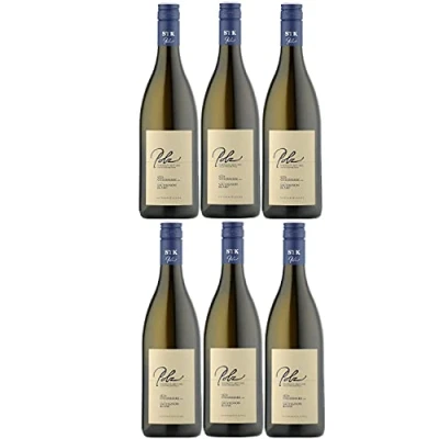 Abbildung von Weingut Polz Sauvignon Blanc Südsteiermark DAC Weißwein Wein trocken Österreich (6 Flaschen)