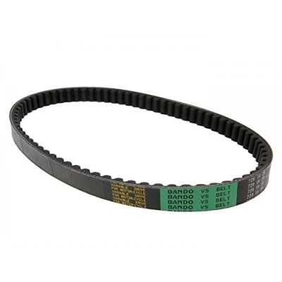 Abbildung von Treibriemen VICMA VIC SB074