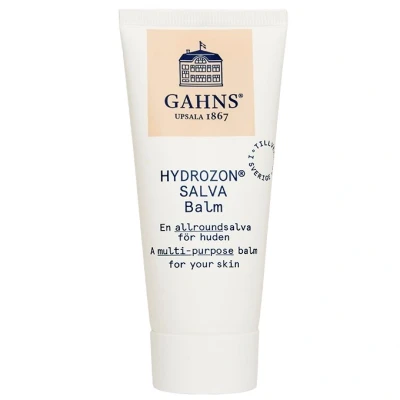 Abbildung von Gahns Hydrozon Salbe 50 ml