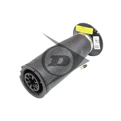 Abbildung von AIC 71100 Luftfeder, Fahrwerk hinten BMW: 5 Touring