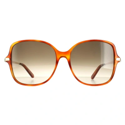 Abbildung von Ferragamo Damen SF990SR 214 Sonnenbrillen Acetat Havanna Grau Quadratisch Schattiert