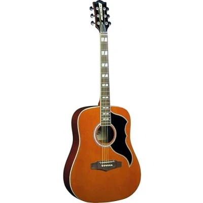 Abbildung von Eko guitars Ranger VI VR Natural