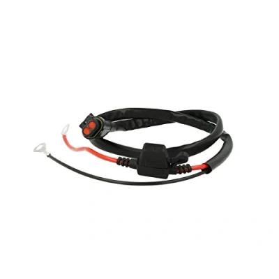 Abbildung von BC Battery Controller 710 STD2V 8059070587036 Batterieanschlusskabel mit Ösen für Batterieladegeräte