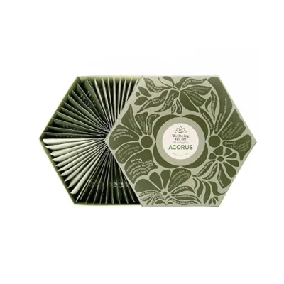 Abbildung von ACORUS Wellbeing Tee Set Natürliche Teeauswahlbox mit 6 Geschmacksrichtungen Geschenkset Große Teebox 60 Kräuter teebeuteln Funktionstees