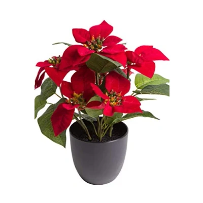 Abbildung von Botanic Haus Kunstblume &quot;Weihnachtsstern mit 6 Blüten&quot;