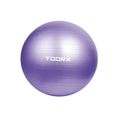 Abbildung von Gymnastikball 75cm TOORX AHF 013 + Pumpe