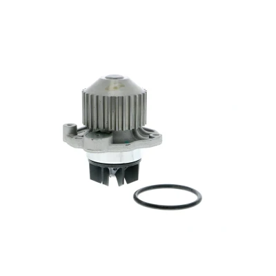 Abbildung von VAICO V22 50012 Wasserpumpe mit Dichtung mechanisch Flügelrad aus Kunststoff Original Qualität RENAULT: CLIO 2, ESPACE 3, LAGUNA 2 Grandtour
