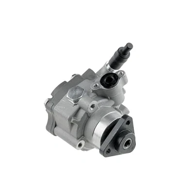 Abbildung von NTY SPW VW 005 Hydraulikpumpe hydraulisch VOLKSWAGEN: Transporter 5 Bus, Kastenwagen, Multivan (7HM