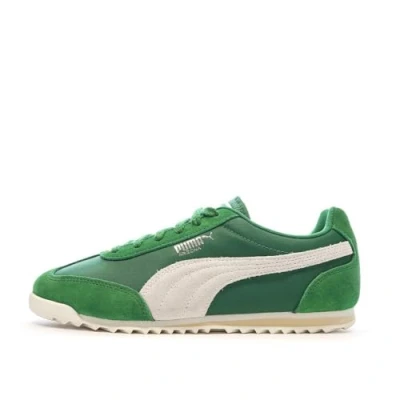 Abbildung von Turnschuhe Puma Unisex Arizona. Grün.