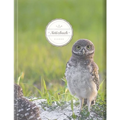 Abbildung von Blanko Notizbuch (©Star, A4, 156 Seiten, Softcover) Mit Register + Seitenzahlen Leeres Notizheft zum Selbstgestalten, Zeichenbuch, Skizzenbuch, Blankobuch, Malbuch „Eulenbaby“