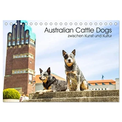 Abbildung von Australian Cattle Dogs zwischen Kunst und Kultur (Tischkalender 2025 DIN A5 quer), CALVENDO Monatskalender