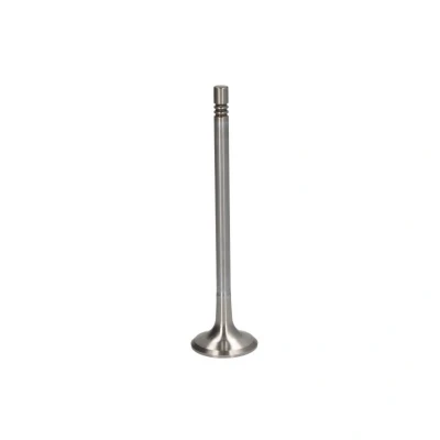 Abbildung von Auslassventil FRECCIA R8067/BMARCR