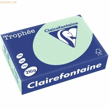 Abbildung von 4 x Clairefontaine Kopierpapier Trophee A4 210g/qm VE=250 Blatt hellgr