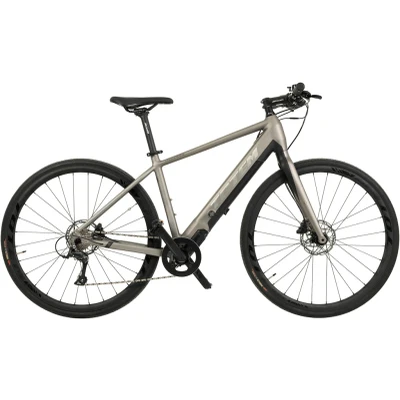Abbildung von TOTEM E Bike &quot;HWD&quot;, 9 Gang, Shimano, Sora, Mittelmotor 250 W