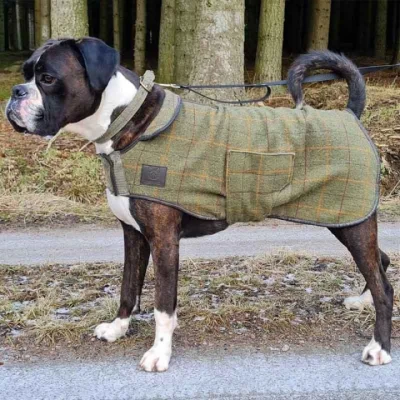 Abbildung von Digby &amp; Fox Hundejacke XS
