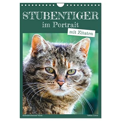 Abbildung von Stubentiger im Portrait (Wandkalender 2025 DIN A4 hoch), CALVENDO Monatskalender