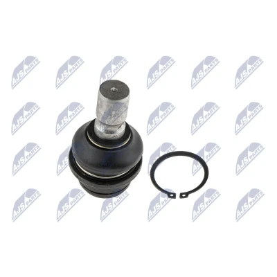 Abbildung von NTY ZST NS 002 Traggelenk Hinterachse unten NISSAN: Pathfinder 3