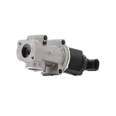 Abbildung von PIERBURG 7.22946.34.0 AGR Ventil elektrisch Magnetventil mit Dichtung FIAT: BRAVO 2, Doblo I Kombi, Cargo, ALFA ROMEO: 147, 156 Sportwagon
