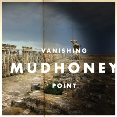 Abbildung von Vanishing Point [Vinyl LP]