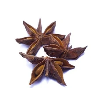 Abbildung von Sternanis BIO, ganz 500g von Dragonspice Naturwaren,