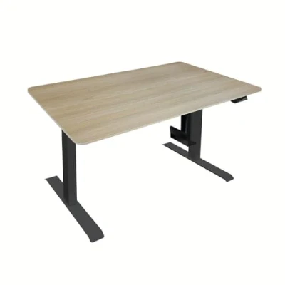 Abbildung von HOME DELUXE Höhenverstellbarer Schreibtisch elektrisch LUMINA mit PC Halterung 120 x 60 cm Eiche
