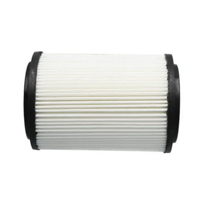 Abbildung von KAVO PARTS KA 1562 Luftfilter 250mm 170mm Filtereinsatz