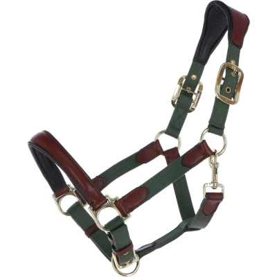 Abbildung von HKM Halfter Luna Leder/Nylon Grün/Braun Pony