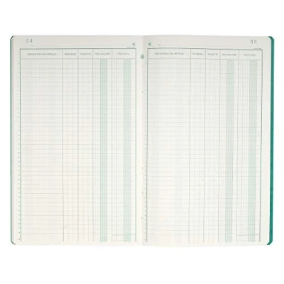 Abbildung von Piqure 32x19,5cm livre d&#039;inventaire 31 lignes 80pages