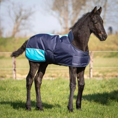 Abbildung von Harry&#039;s Horse TwoTone Fohlendecke