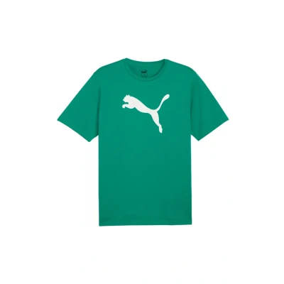 Abbildung von Puma Teamrise LOGO Sport Tshirt, Herren, Größe: Large, Gruenweiss