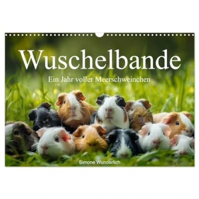 Abbildung von Wuschelbande Ein Jahr voller Meerschweinchen (Wandkalender 2025 DIN A3 quer), CALVENDO Monatskalender