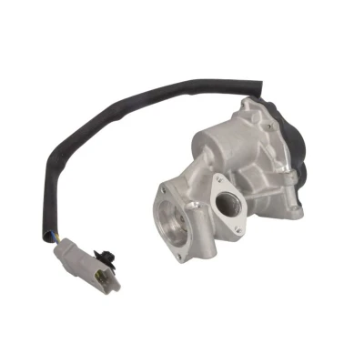 Abbildung von MAGNETI MARELLI 571822112137 AGR Ventil LAND ROVER: Range Rover Sport, 3