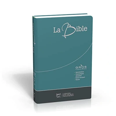 Abbildung von Bible Segond 21, gros caractères, duo bleu/gris : couverture souple toilée