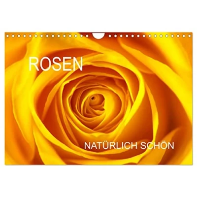 Abbildung von Rosen natürlich schön (Wandkalender 2025 DIN A4 quer), CALVENDO Monatskalender