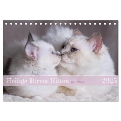 Abbildung von Heilige Birma Kitten mit Planer (Tischkalender 2025 DIN A5 quer), CALVENDO Monatskalender