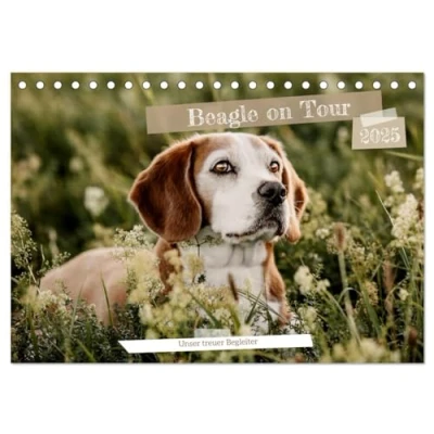 Abbildung von Beagle Unser treuer Begleiter (Tischkalender 2025 DIN A5 quer), CALVENDO Monatskalender