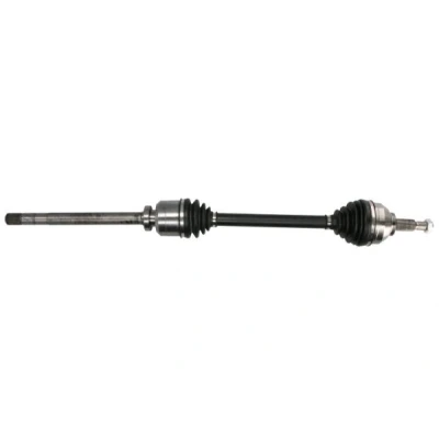 Abbildung von Antriebswelle PASCAL G21024PC
