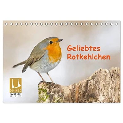 Abbildung von Geliebtes Rotkehlchen (Tischkalender 2025 DIN A5 quer), CALVENDO Monatskalender