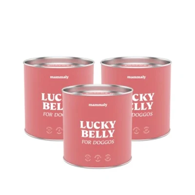 Abbildung von mammaly 3X Sparpaket Lucky Belly Probiotika Hundeleckerli (975g) Verdauungssnacks Magen Darmflora Aufbau (bei Durchfall, Sodbrennen &amp; Gras fressen) Alternative zu Heilerde, Kohletabletten als Snacks