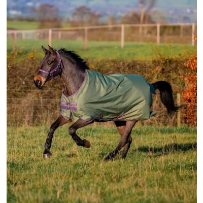 Abbildung von Horseware Regendecke Amigo Hero Ripstop Original Lite 0g Grün/Lila/Beige