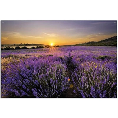 Abbildung von Wallario Outdoor Poster für Garten oder Balkon Sonnenuntergang über dem Lavendel, Motivbanner Größe: ca. 60 x 90 cm, Bild