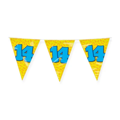 Abbildung von Flag Linie Singer 14 Jahre Party 10 Meter
