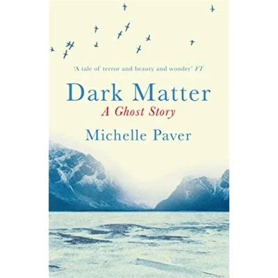 Abbildung von Dark Matter: the gripping ghost story from author of WAKENHYRST