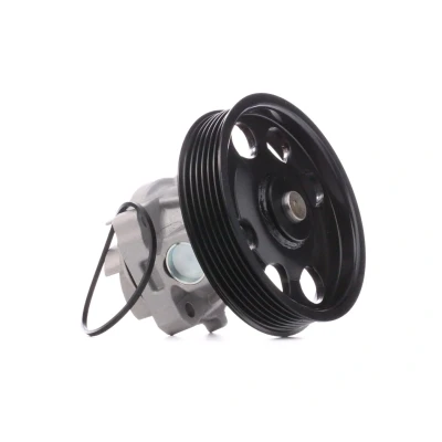Abbildung von DAYCO DP267 Wasserpumpe OPEL: Combo D Kasten / Kombi, C Corsa Schrägheck, FIAT: Qubo, Grande Punto Schrägheck