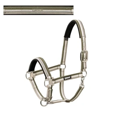 Abbildung von Eskadron Halster pin buckle