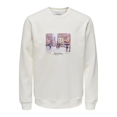 Abbildung von Only &amp; Sons Onsrobert Photo Sweatshirt, Herren, Größe: XXL, Cloud dancer
