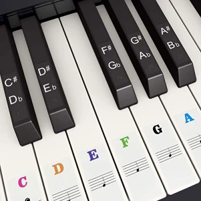 Abbildung von Fansjoy Klavier Keyboard Aufkleber für 37/49/54/61/88 Weiße und Schwarze Tasten, Bunt Noten Klaviertasten Kinder Anfänger, Transparent Entfernbar